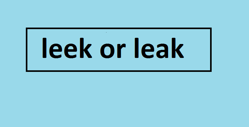 leek or leak